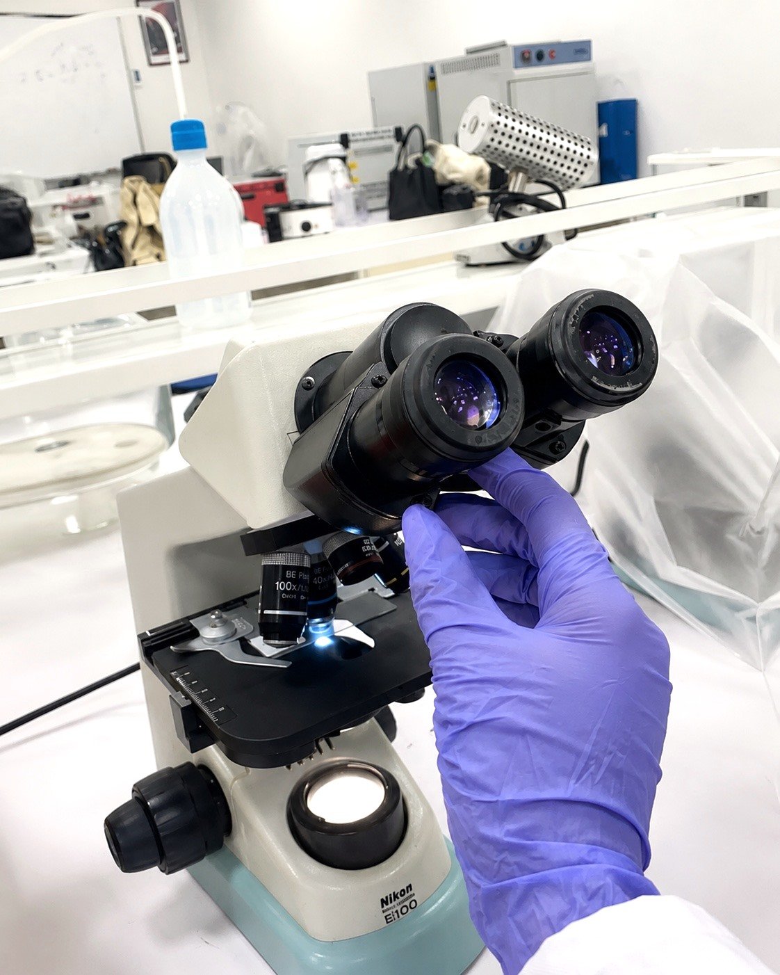 Mão com luva lilás ajustando as oculares de um microscópio Nikon em um laboratório.